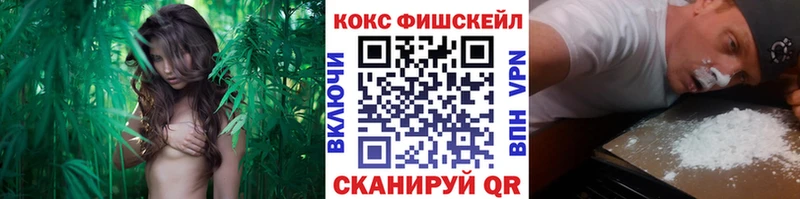 COCAIN 97% Александровское