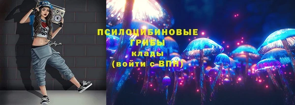 спайс Бородино