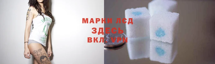 спайс Бородино