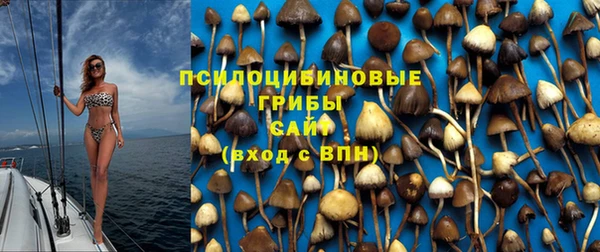 спайс Бородино